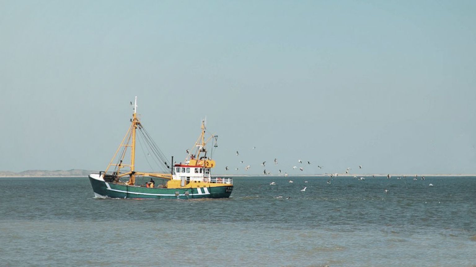 Fischerei